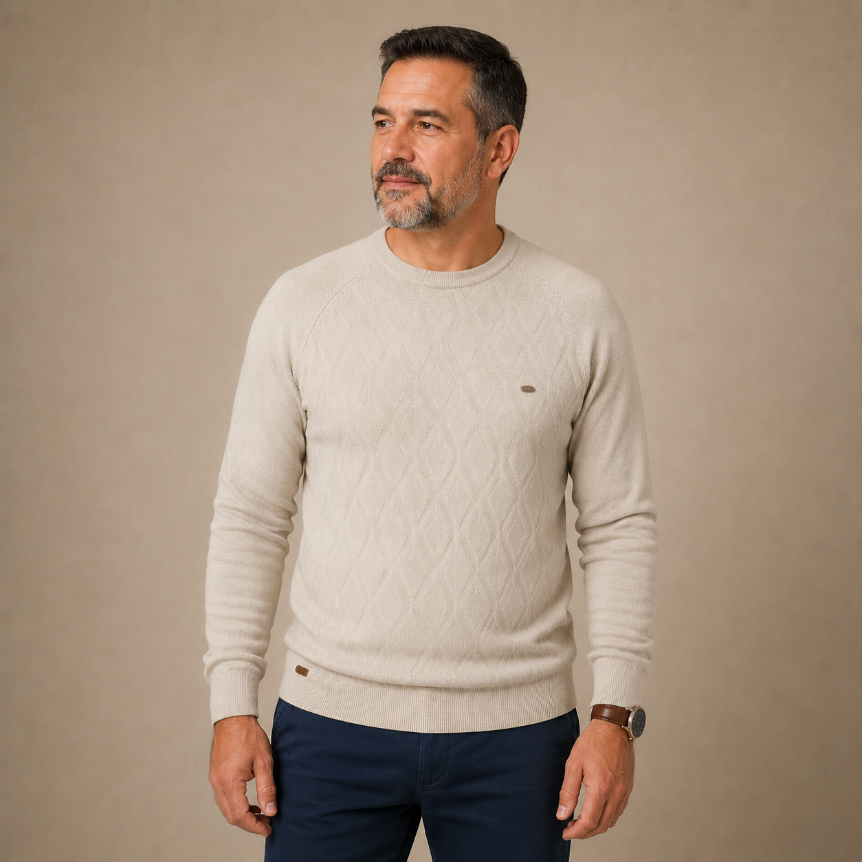 Argilian Men’s 100% Cotton Jumper