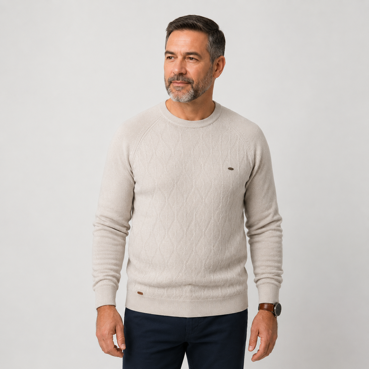 Argilian Men’s 100% Cotton Jumper