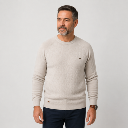 Argilian Men’s 100% Cotton Jumper